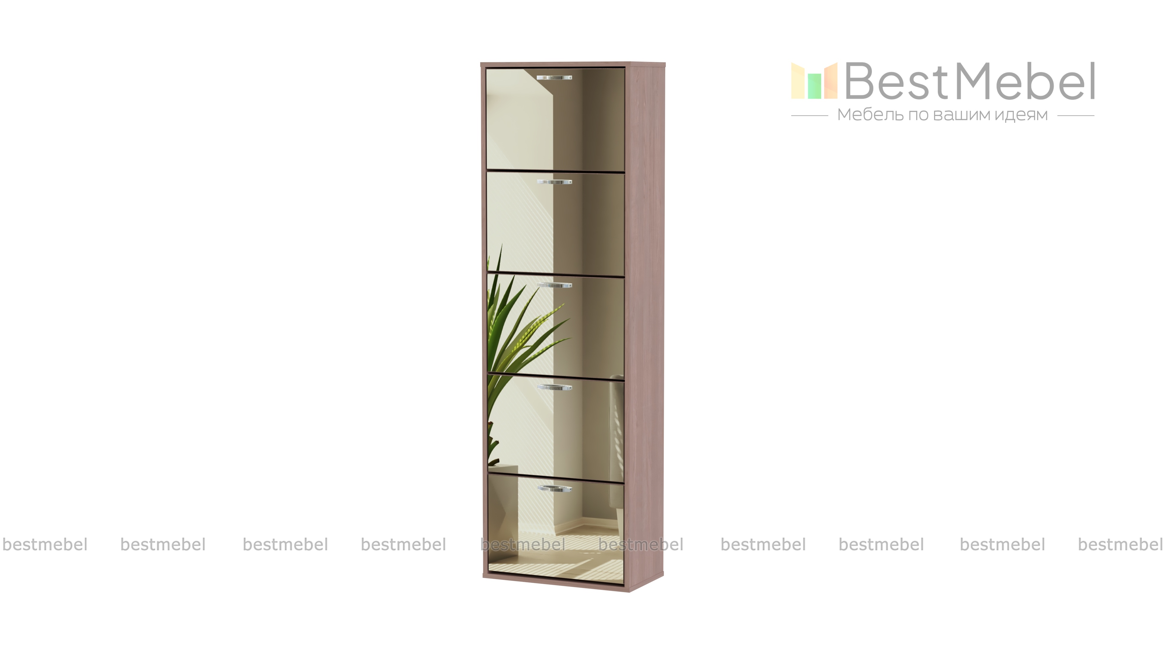 Обувница Майя 10.1 BMS