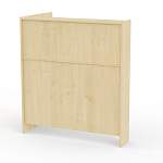 Стойка ресепшн Идеал 4   BMS - Фото 5