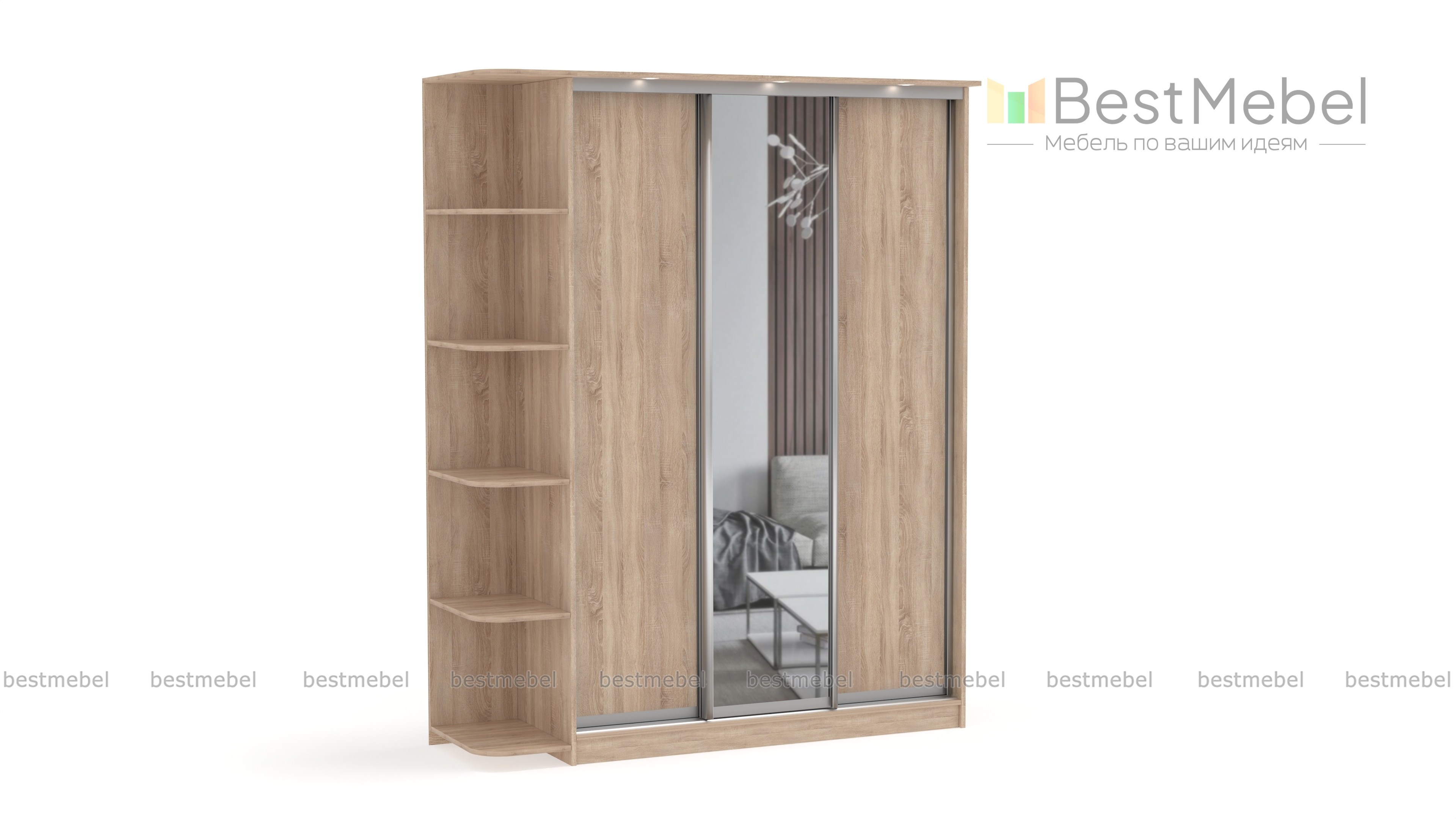 Шкаф-купе Байкал-Рамир 3 BMS